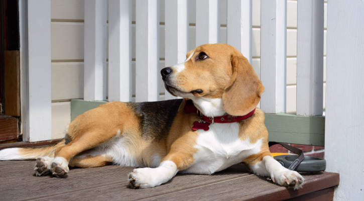 Emergency & Trauma Care